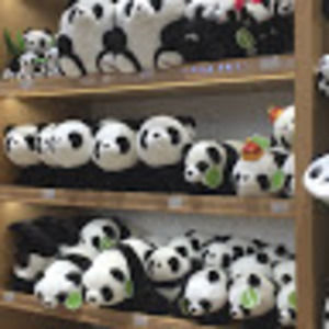 Meet your Posher, Kimberley